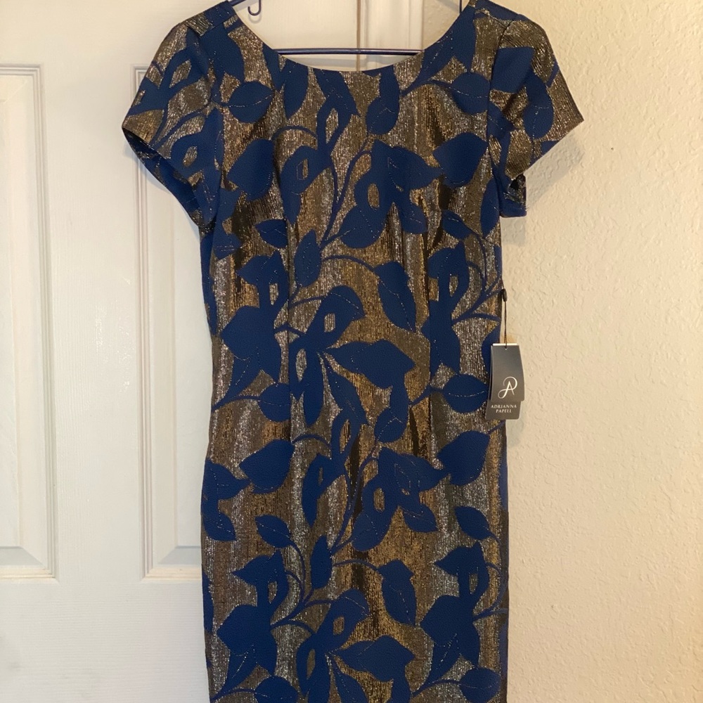 Adrianna Papell holiday/wedding guest dress